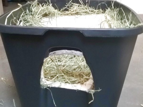 Make a feral cat shelter from a styrofoam cooler filled with straw