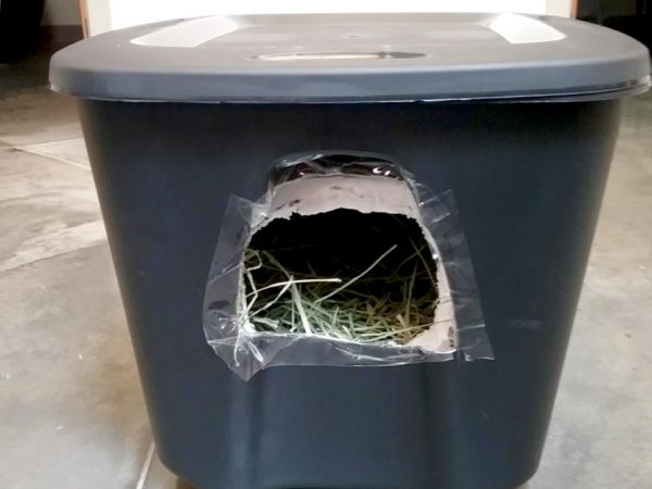 Make a feral cat shelter from a styrofoam cooler filled with straw