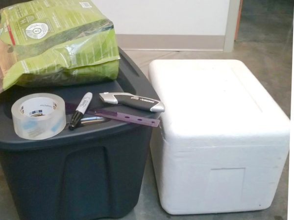 Make a feral cat shelter from a styrofoam cooler filled with straw