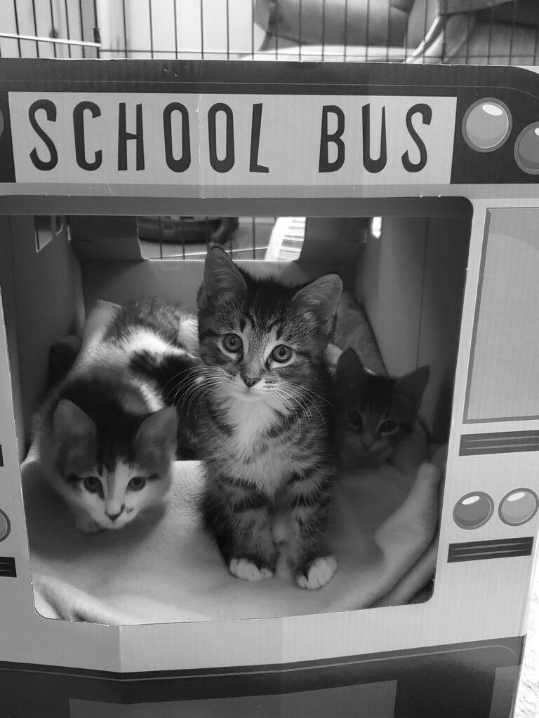 Bus Babies!