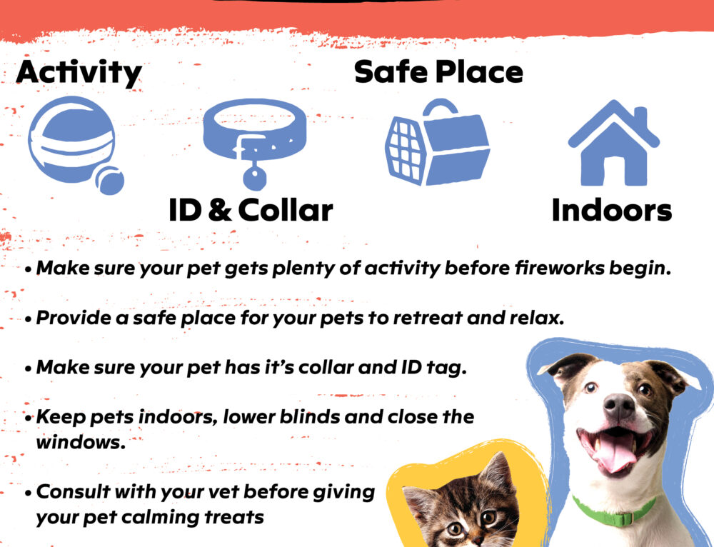 10 Ways to Craft for Your Local Shelter on July 21 - Humane Animal Rescue