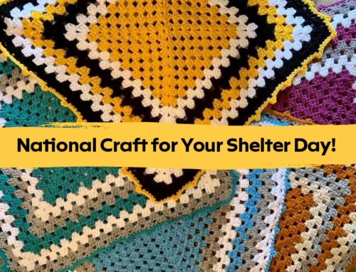 10 Ways to Craft for Your Local Shelter on July 21