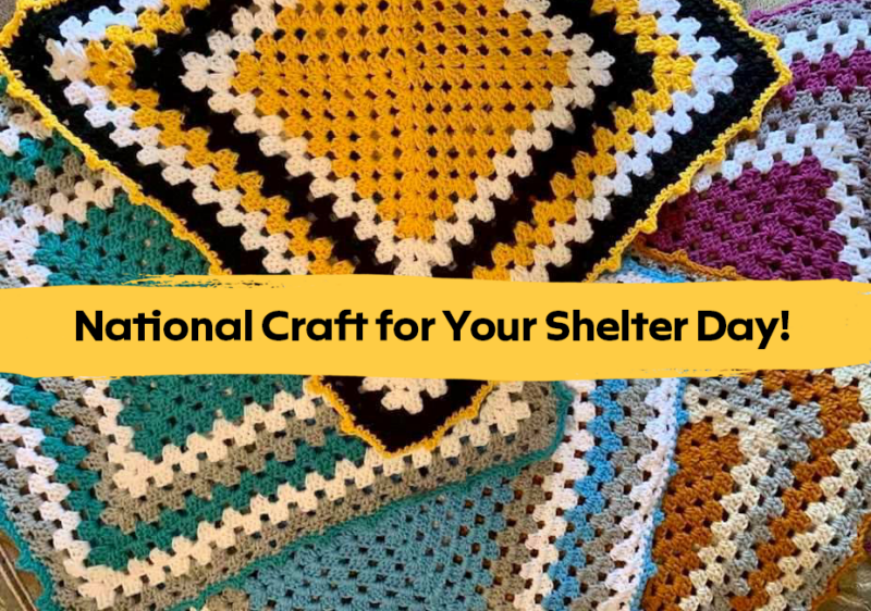 10 Ways to Craft for Your Local Shelter on July 21 - Humane Animal Rescue