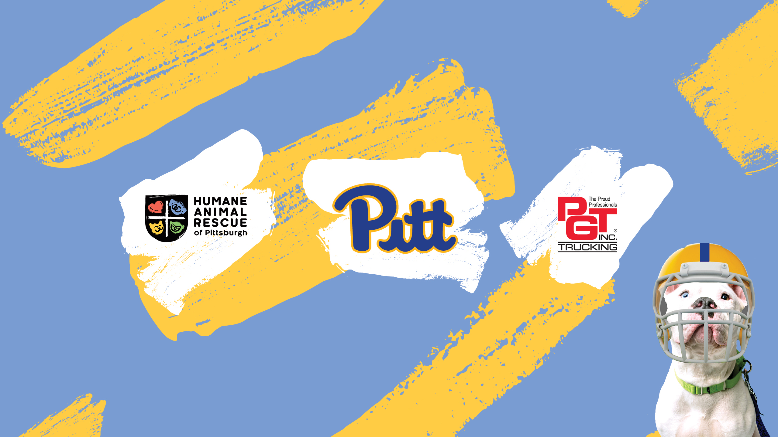 Sacks For HARP Humane Animal Rescue sacks-for-harp-humane-animal-rescue