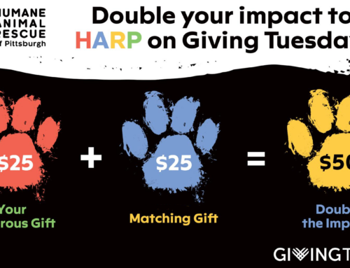 $10,000 Match Unlocked! Double Your Giving Power Now!