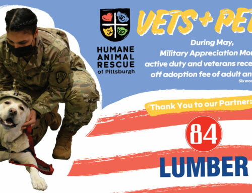 HARP & 84 LUMBER LAUNCH “VETS & PETS” PARTNERSHIP IN SUPPORT OF NATIONAL MILITARY APPRECIATION MONTH