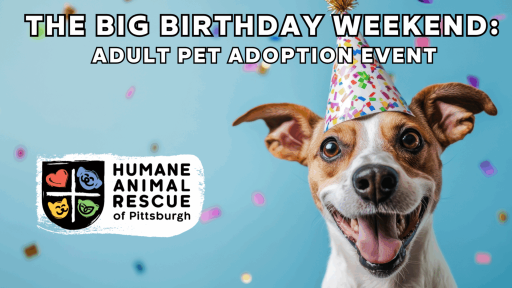 Poster for “The Big Birthday Weekend: Adult Pet Adoption” event by Humane Animal Rescue of Pittsburgh. Includes images of a dog and cat in birthday-themed attire with colorful brushstroke design, highlighting waived adoption fees for adult pets and event dates in August.