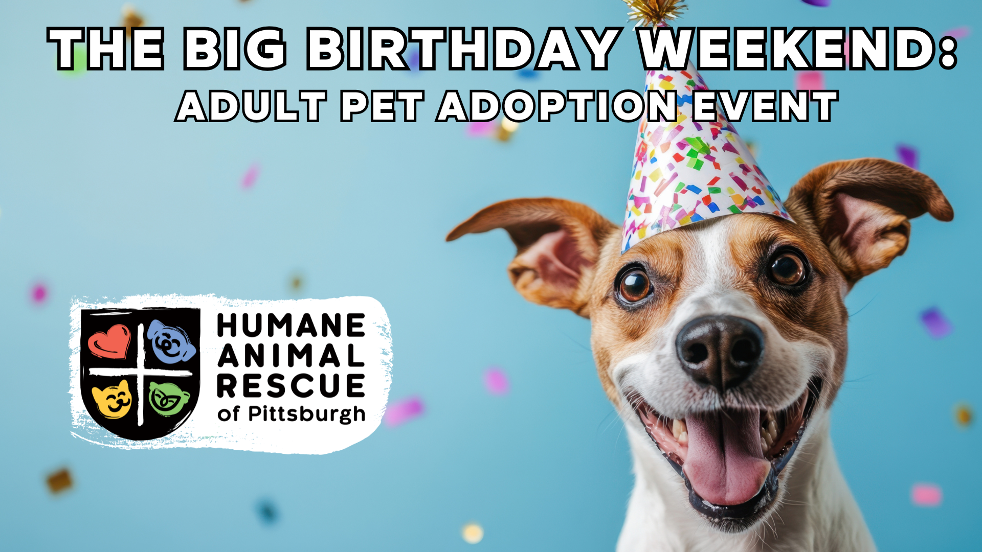 harp-big-birthday-weekend-adult-pet-adoption-august-2025 Poster for “The Big Birthday Weekend: Adult Pet Adoption” event by Humane Animal Rescue of Pittsburgh. Includes images of a dog and cat in birthday-themed attire with colorful brushstroke design, highlighting waived adoption fees for adult pets and event dates in August.