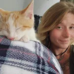 A soft orange-and-white cat naps peacefully on a plaid blanket, while a woman with a gentle smile sits beside him, close and content.