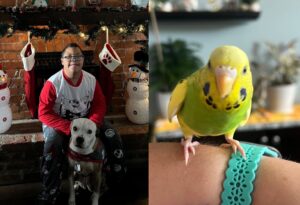 A smiling boy hugging his rescue dog in bed, alongside a close-up of a bright yellow-green rescue bird perched on a wrist.