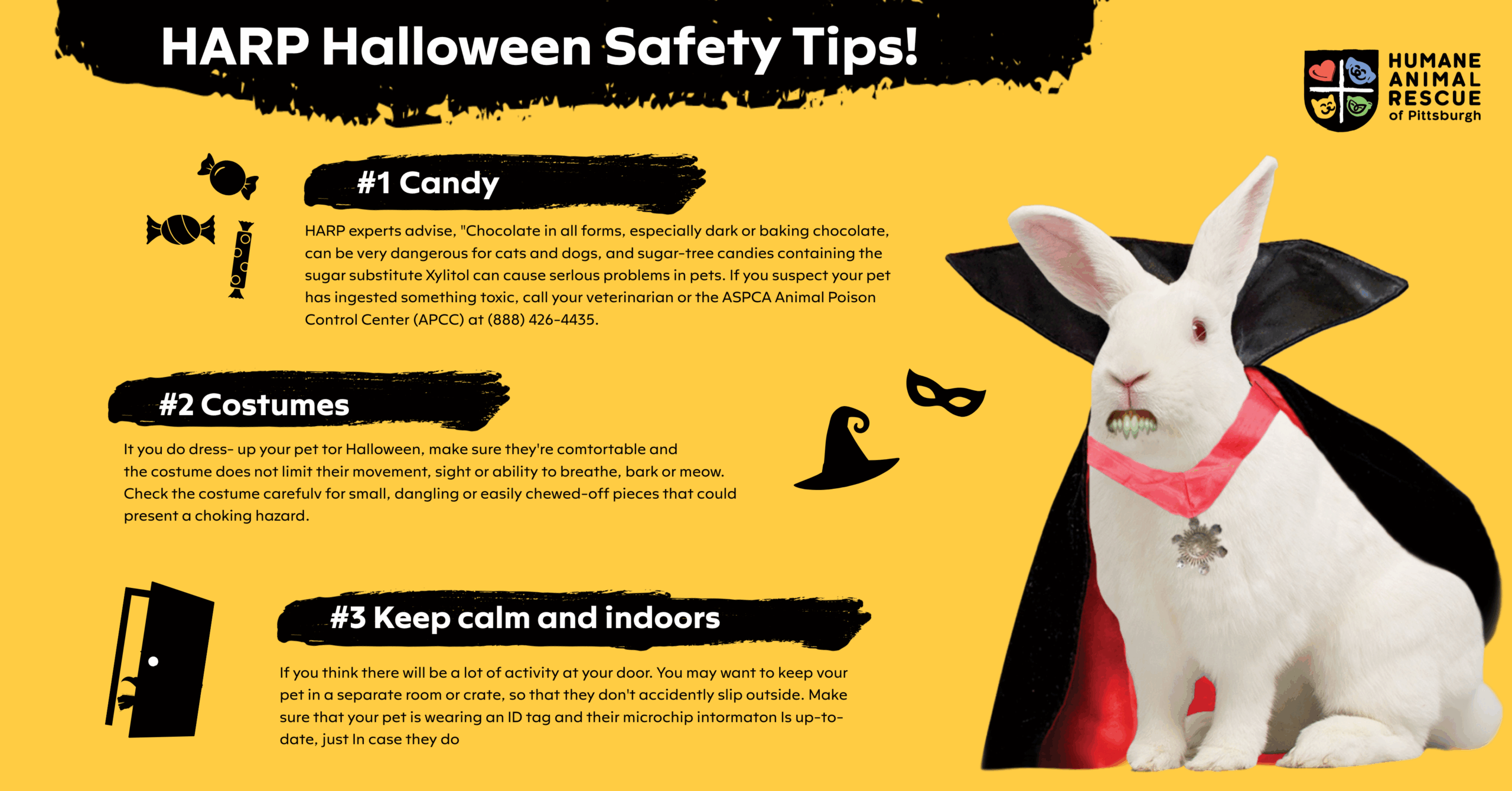 HARP Halloween Safety Tips White rabbit dressed as a vampire on a yellow background beside text reading “HARP Halloween Safety Tips” with advice on candy, costumes, and keeping pets calm and indoors.