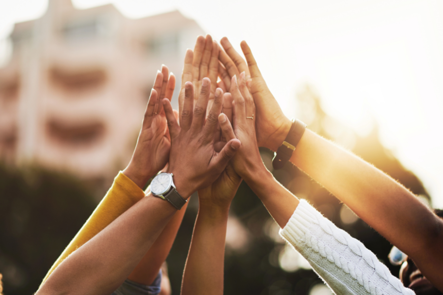 Stuff a Dog House Peer to Peer donation