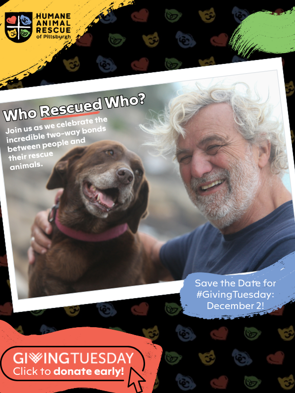 Smiling older man with curly white hair poses with a happy brown dog wearing a pink collar, promoting Humane Animal Rescue of Pittsburgh’s ‘Who Rescued Who?’ Giving Tuesday campaign.