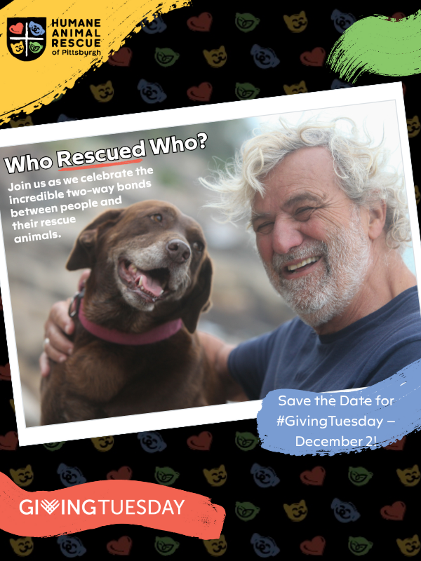 Smiling man sitting with his happy brown rescue dog, promoting HARP’s Giving Tuesday message “Who Rescued Who?”