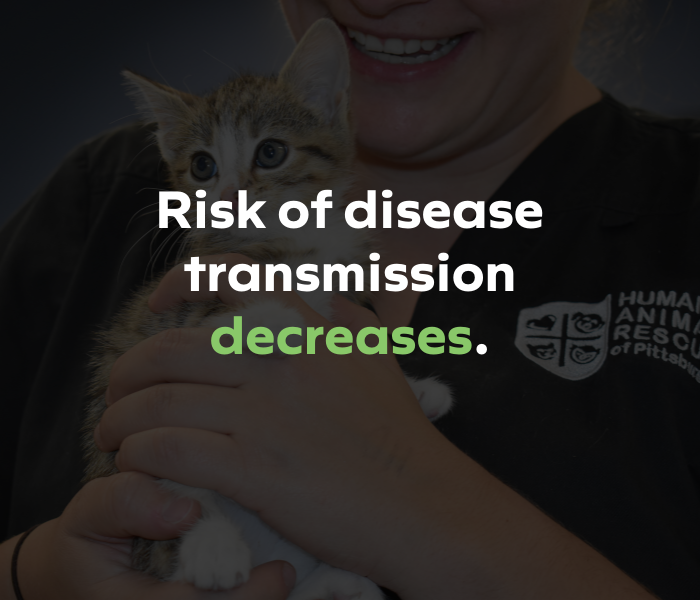 Graphic tile with the text “Risk of disease transmission decreases,” showing how fostering supports healthier shelter environments.