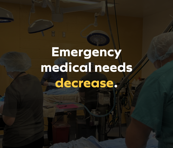 Graphic tile with the text “Emergency medical needs decrease,” highlighting how foster care supports early intervention for vulnerable animals.