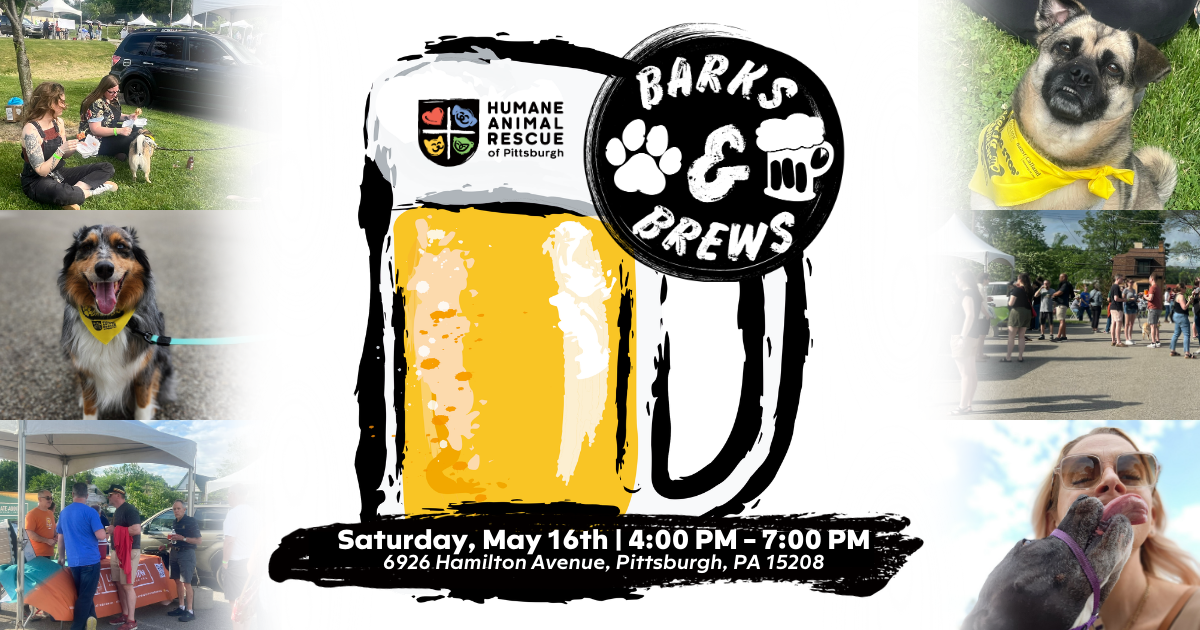 Barks and Brews Pittsburgh dog friendly beer festival at Humane Animal Rescue with craft beer, dogs, food trucks, vendors, and live entertainment