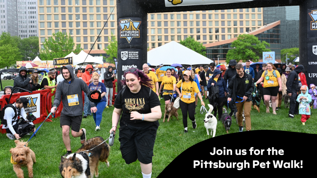 Pittsburgh Pet Walk 2026 | Humane Animal Rescue of Pittsburgh