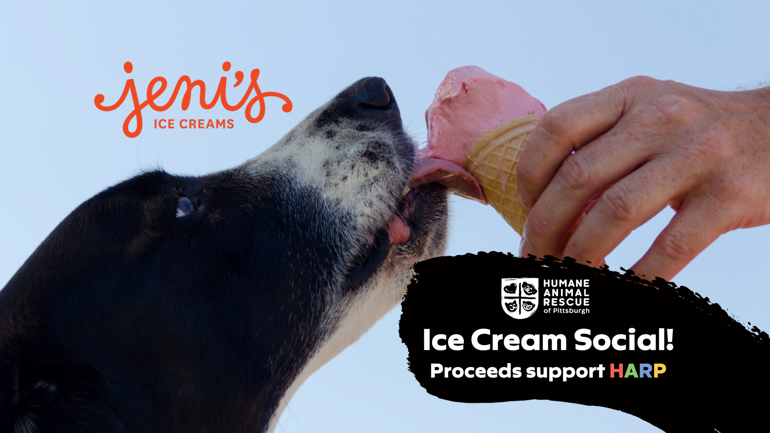 HARP Ice Cream Social at Jeni's Ice Creams in Bakery Square, Pittsburgh, July 20 2025, fundraiser supporting animal rescue